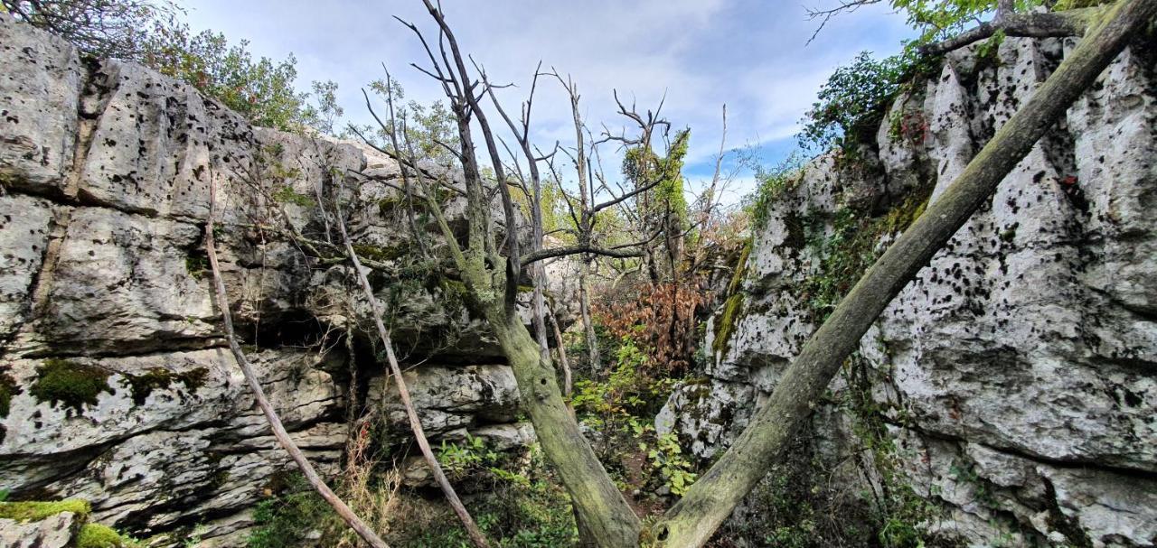 La Grange - Chez Gisi - Fuer Naturliebhaber, Abenteurer Und Geniesser Rocles  Exterior foto
